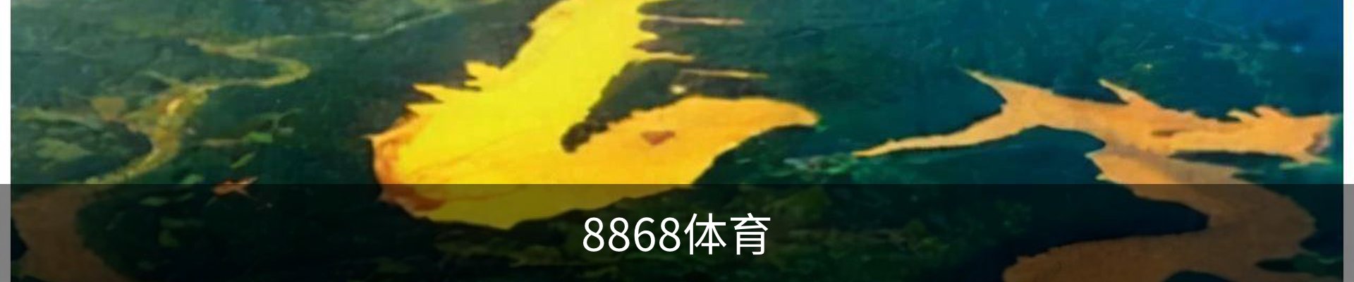 8868体育